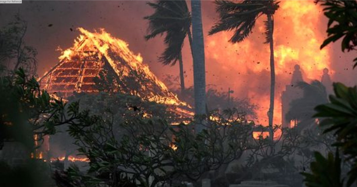 US: Death toll in Hawaii wildfire climbs to 53
